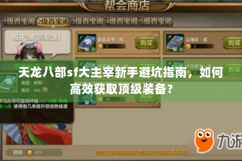 天龙八部sf大主宰新手避坑指南，如何高效获取顶级装备？