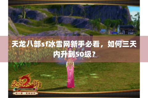 天龙八部sf冰雪网新手必看，如何三天内升到50级？