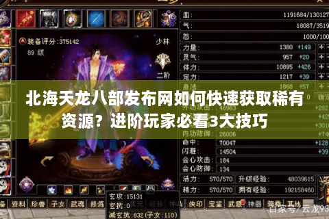 北海天龙八部发布网如何快速获取稀有资源？进阶玩家必看3大技巧