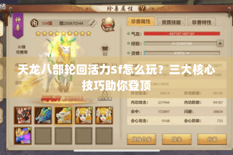 天龙八部轮回活力Sf怎么玩？三大核心技巧助你登顶