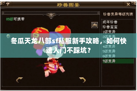 冬瓜天龙八部sf私服新手攻略，如何快速入门不踩坑？