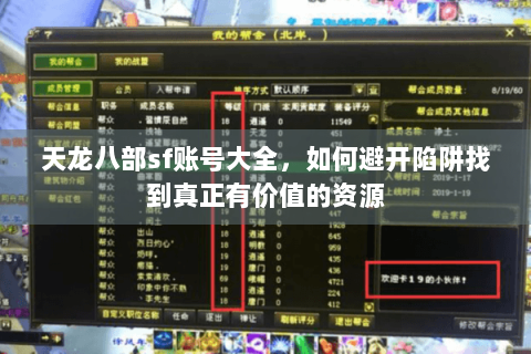 天龙八部sf账号大全，如何避开陷阱找到真正有价值的资源