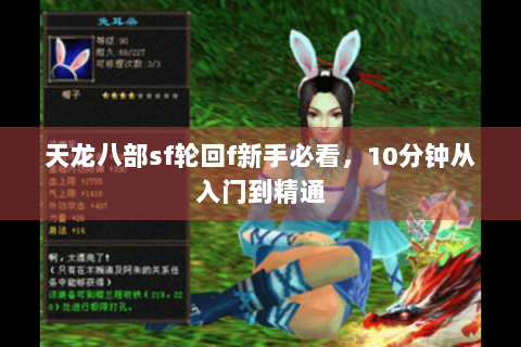 天龙八部sf轮回f新手必看，10分钟从入门到精通
