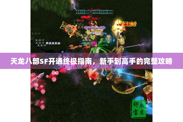 天龙八部SF开通终极指南，新手到高手的完整攻略