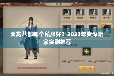 天龙八部哪个私服好？2023年资深玩家实测推荐