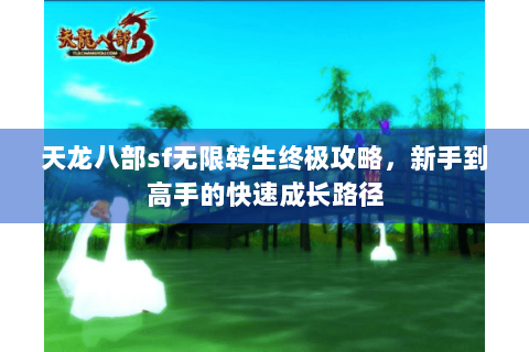天龙八部sf无限转生终极攻略，新手到高手的快速成长路径