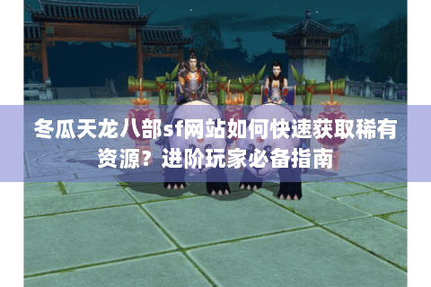 冬瓜天龙八部sf网站如何快速获取稀有资源？进阶玩家必备指南