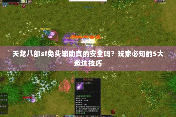 天龙八部sf免费辅助真的安全吗？玩家必知的5大避坑技巧