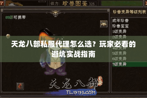 天龙八部私服代理怎么选？玩家必看的避坑实战指南