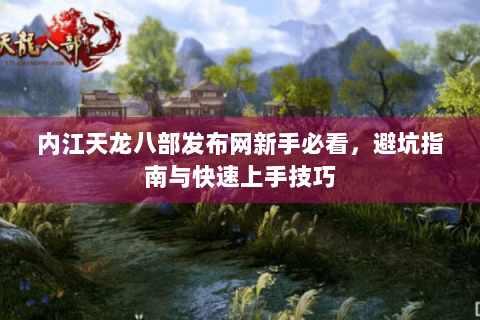 内江天龙八部发布网新手必看，避坑指南与快速上手技巧