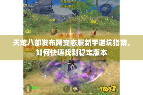 天龙八部发布网变态服新手避坑指南，如何快速找到稳定版本
