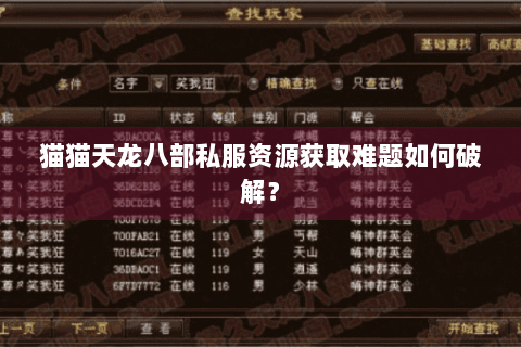 猫猫天龙八部私服资源获取难题如何破解？