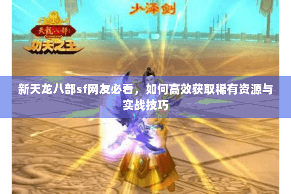 新天龙八部sf网友必看，如何高效获取稀有资源与实战技巧