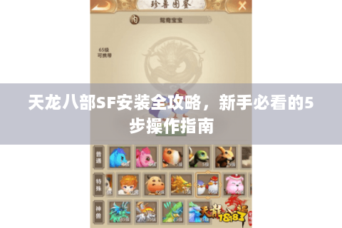 天龙八部SF安装全攻略，新手必看的5步操作指南