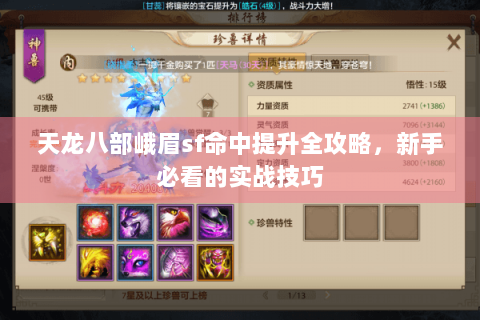 天龙八部峨眉sf命中提升全攻略，新手必看的实战技巧