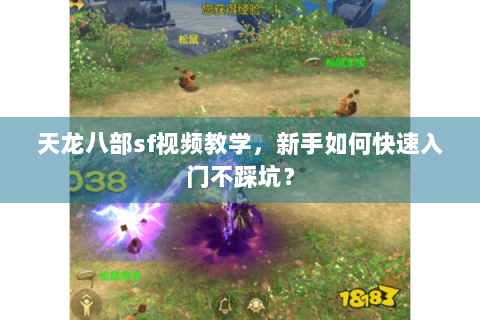 天龙八部sf视频教学，新手如何快速入门不踩坑？