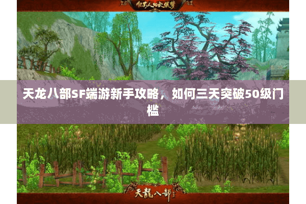 天龙八部SF端游新手攻略，如何三天突破50级门槛
