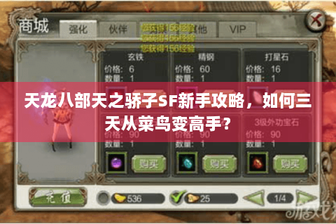 天龙八部天之骄子SF新手攻略，如何三天从菜鸟变高手？