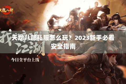 天龙八部私服怎么玩？2023新手必看安全指南
