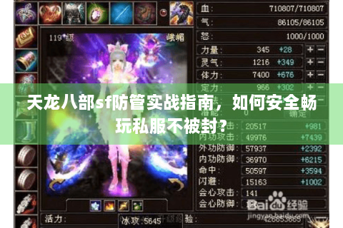 天龙八部sf防管实战指南，如何安全畅玩私服不被封？