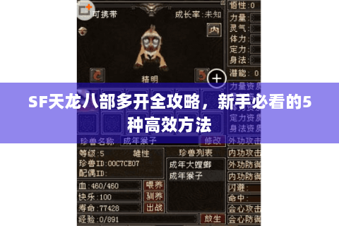 SF天龙八部多开全攻略，新手必看的5种高效方法