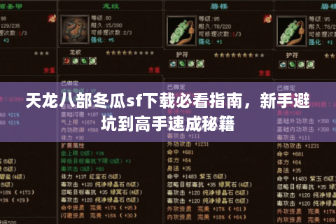 天龙八部冬瓜sf下载必看指南，新手避坑到高手速成秘籍