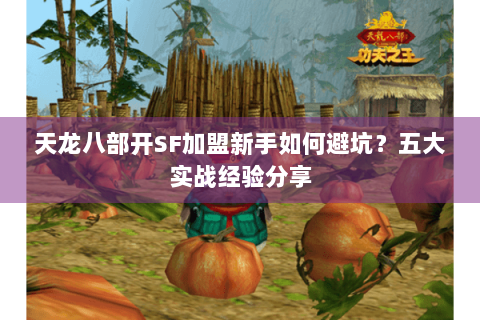 天龙八部开SF加盟新手如何避坑？五大实战经验分享