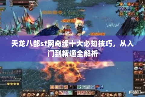 天龙八部sf网奇缘十大必知技巧，从入门到精通全解析