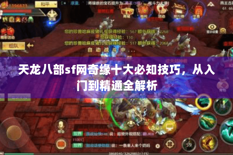 天龙八部sf网奇缘十大必知技巧，从入门到精通全解析