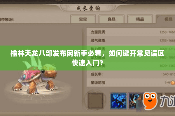 榆林天龙八部发布网新手必看，如何避开常见误区快速入门？