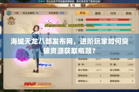 海城天龙八部发布网，进阶玩家如何突破资源获取瓶颈？