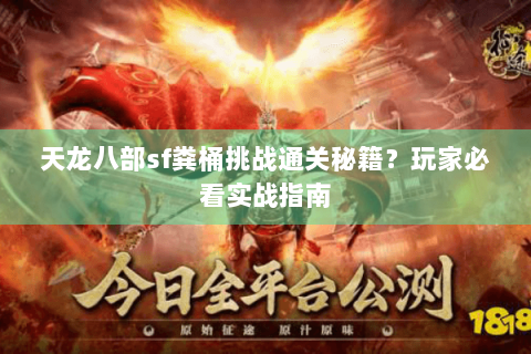 天龙八部sf粪桶挑战通关秘籍？玩家必看实战指南
