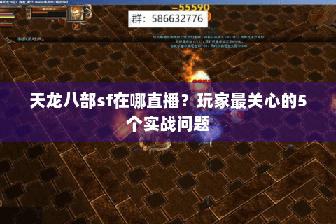 天龙八部sf在哪直播？玩家最关心的5个实战问题