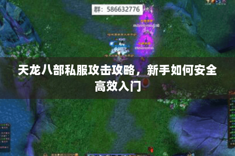 天龙八部私服攻击攻略，新手如何安全高效入门