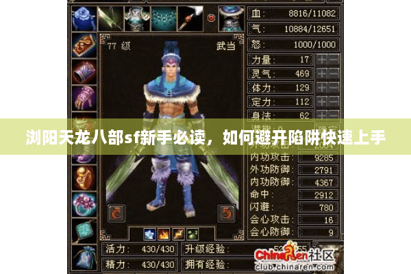 浏阳天龙八部sf新手必读，如何避开陷阱快速上手