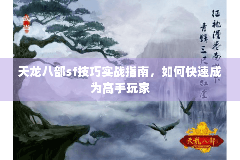 天龙八部sf技巧实战指南，如何快速成为高手玩家