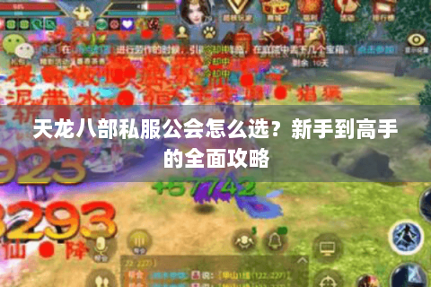 天龙八部私服公会怎么选？新手到高手的全面攻略