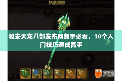 雅安天龙八部发布网新手必看，10个入门技巧速成高手