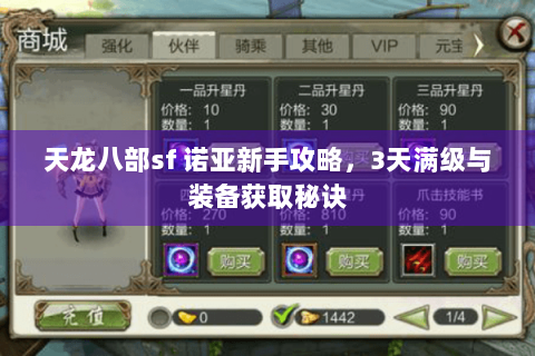天龙八部sf 诺亚新手攻略，3天满级与装备获取秘诀