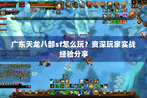 广东天龙八部sf怎么玩？资深玩家实战经验分享