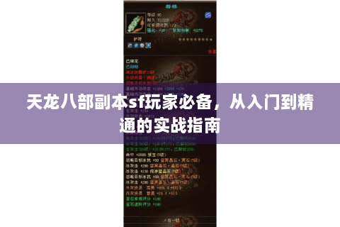 天龙八部副本sf玩家必备，从入门到精通的实战指南
