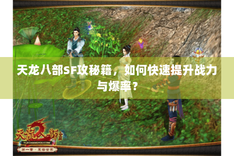 天龙八部SF攻秘籍,如何快速提升战力与爆率? 天龙八部SF攻秘籍,如何快速提升战力与爆率?