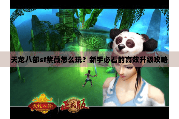 天龙八部sf紫薇怎么玩？新手必看的高效升级攻略