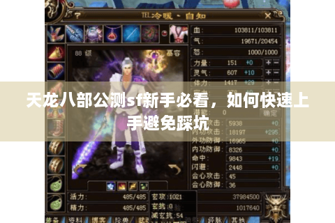 天龙八部公测sf新手必看，如何快速上手避免踩坑