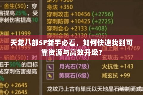天龙八部SF新手必看，如何快速找到可靠资源与高效升级？