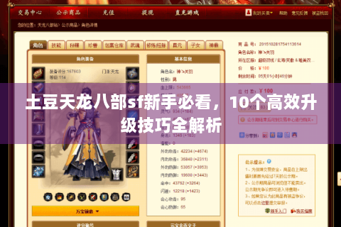 土豆天龙八部sf新手必看，10个高效升级技巧全解析