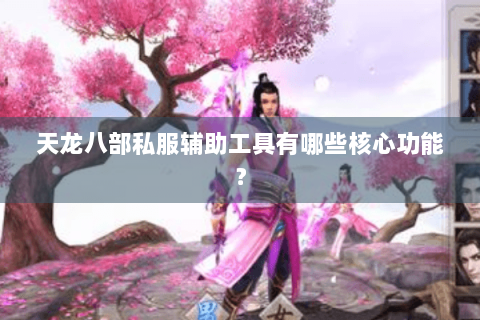 天龙八部私服辅助工具有哪些核心功能？