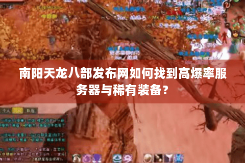 南阳天龙八部发布网如何找到高爆率服务器与稀有装备？