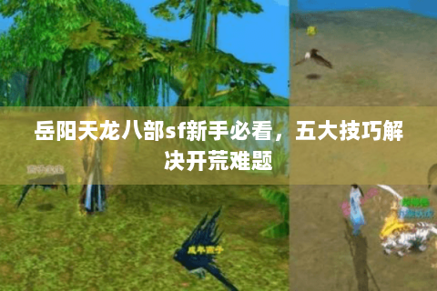 岳阳天龙八部sf新手必看，五大技巧解决开荒难题