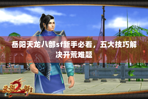 岳阳天龙八部sf新手必看，五大技巧解决开荒难题
